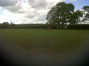 IMG00255-20130516-1030